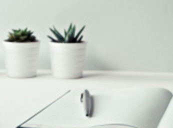 NEWSLETTER FÉVRIER 2026